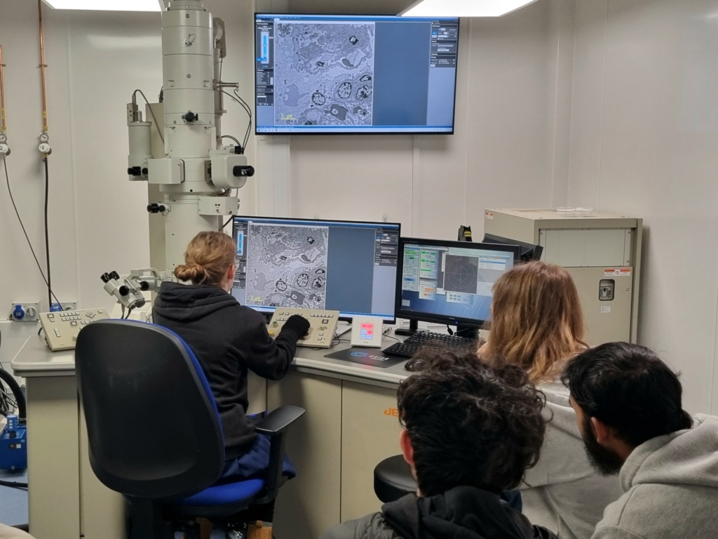 Students from Lipson sat at screens at the at the Plymouth Electron Microscopy Centre