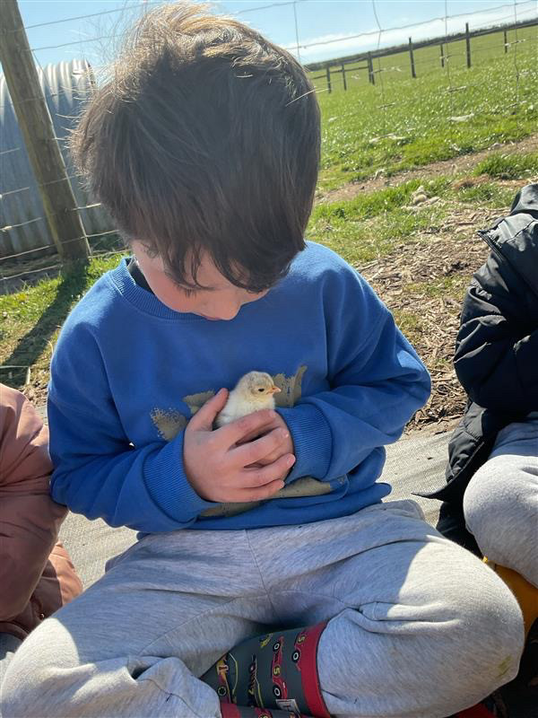 Young pupil sat cross legged head bent, cupping a small chick in his hands