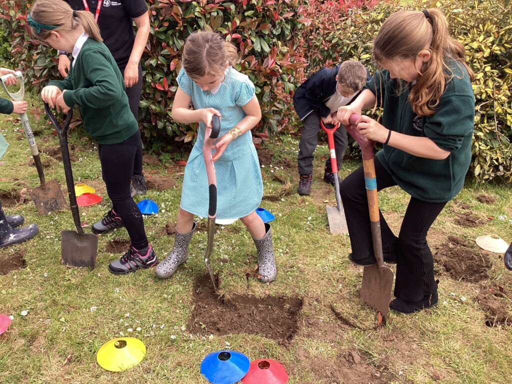 Four students digging with shovels in grass