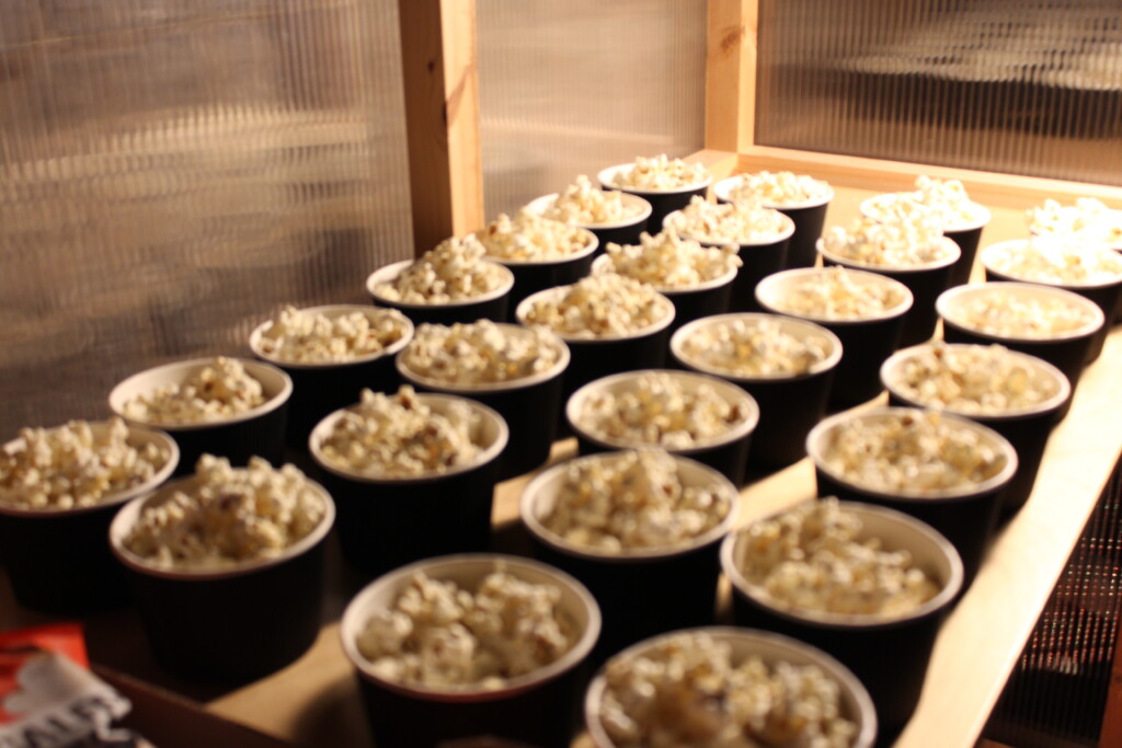 Rose of popcorn boxes