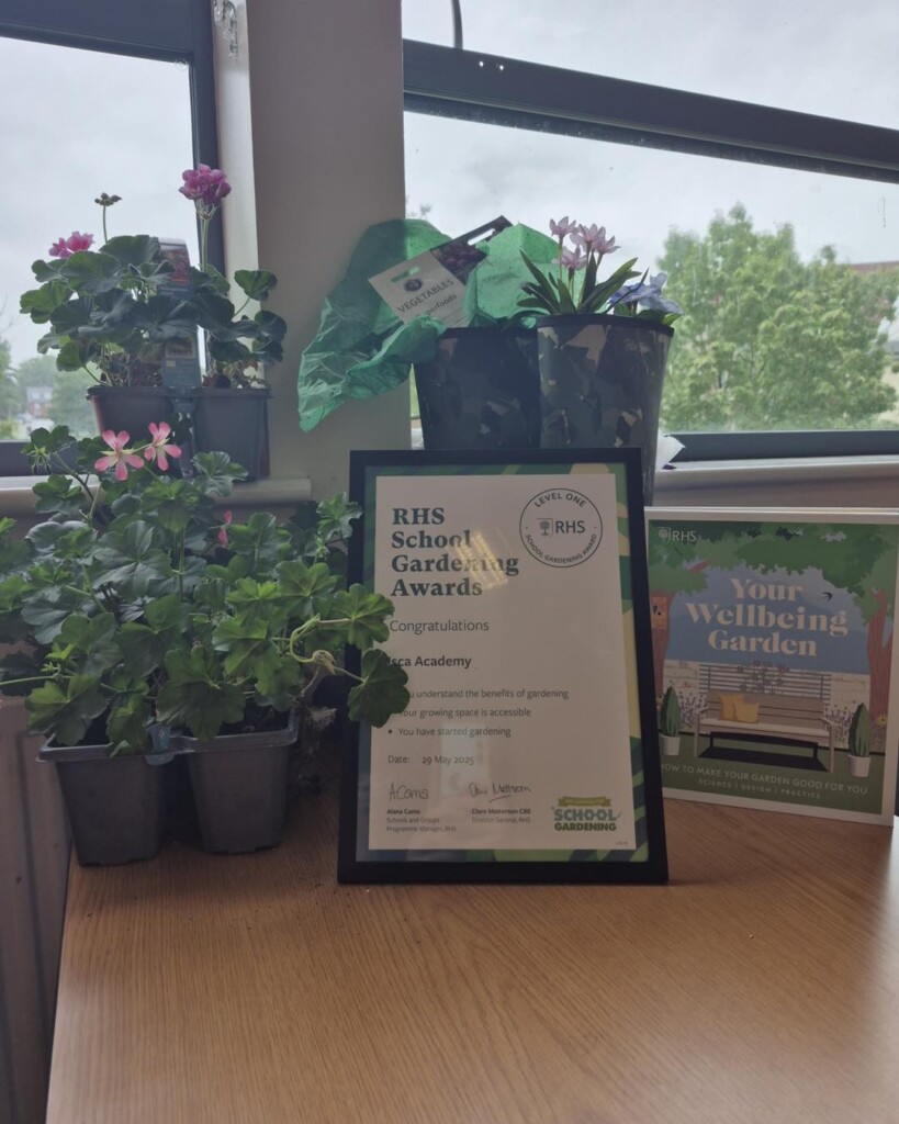Photo of the certificate in a frame in front of a window and plants
