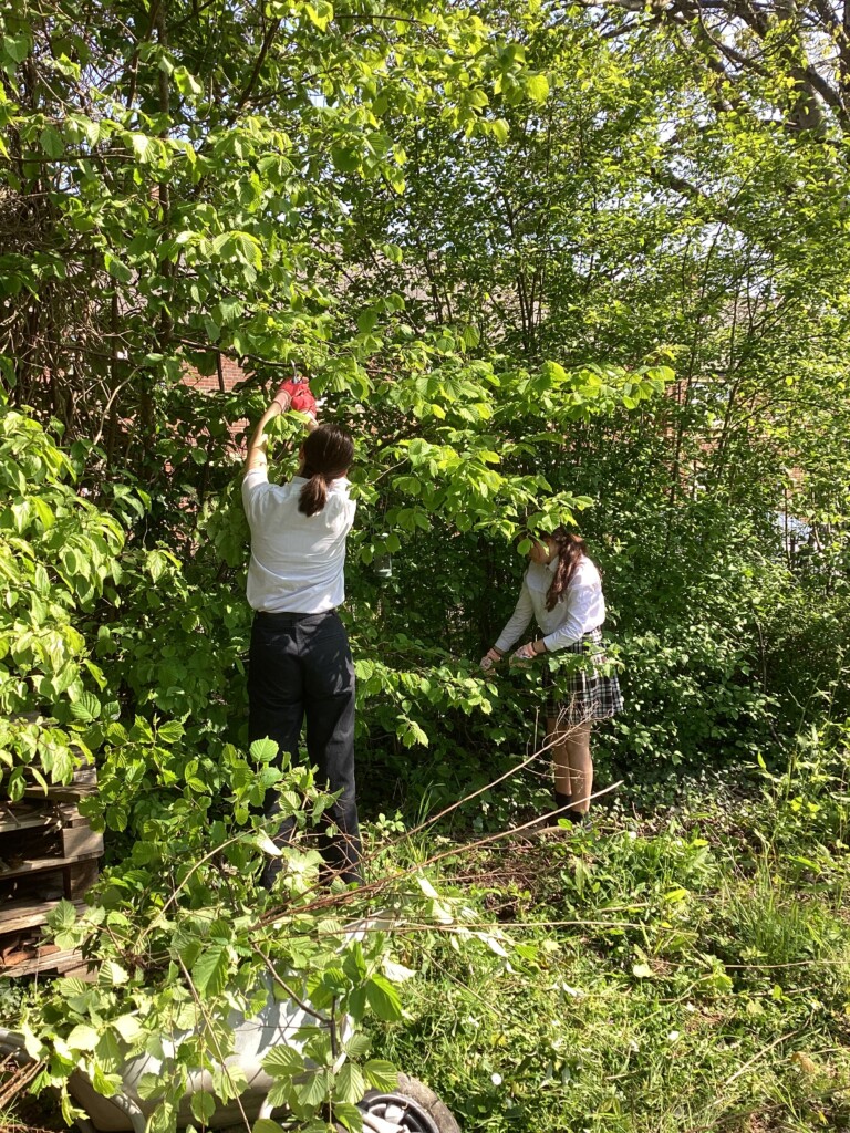 Two students gardening surrounded by foliage