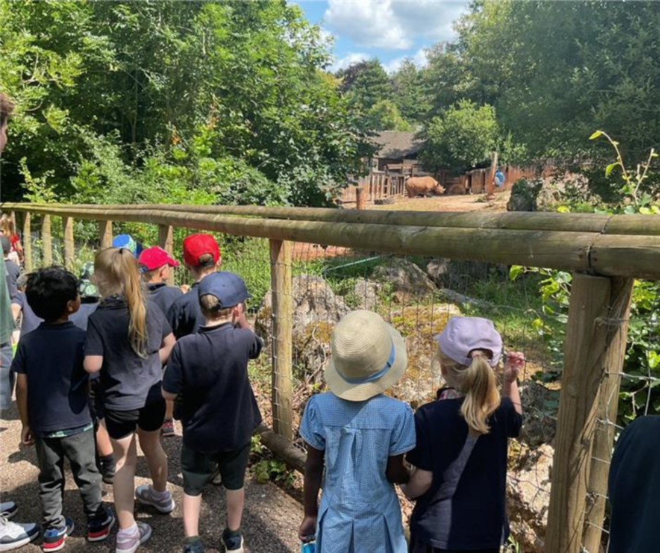 Matford Brook Academy Pupils at Paignton Zoo looking through the glass into the rhino enclosure