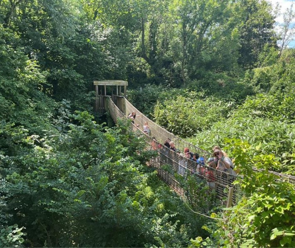 Matford Brook Academy Pupils on Paignton Zoo bridge 