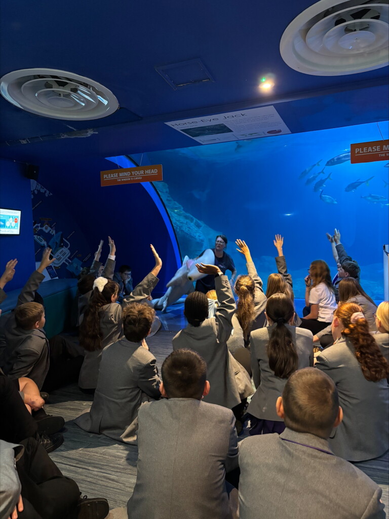Students sat on floor in aquarium facing a presenter and looking at a large tank with fish