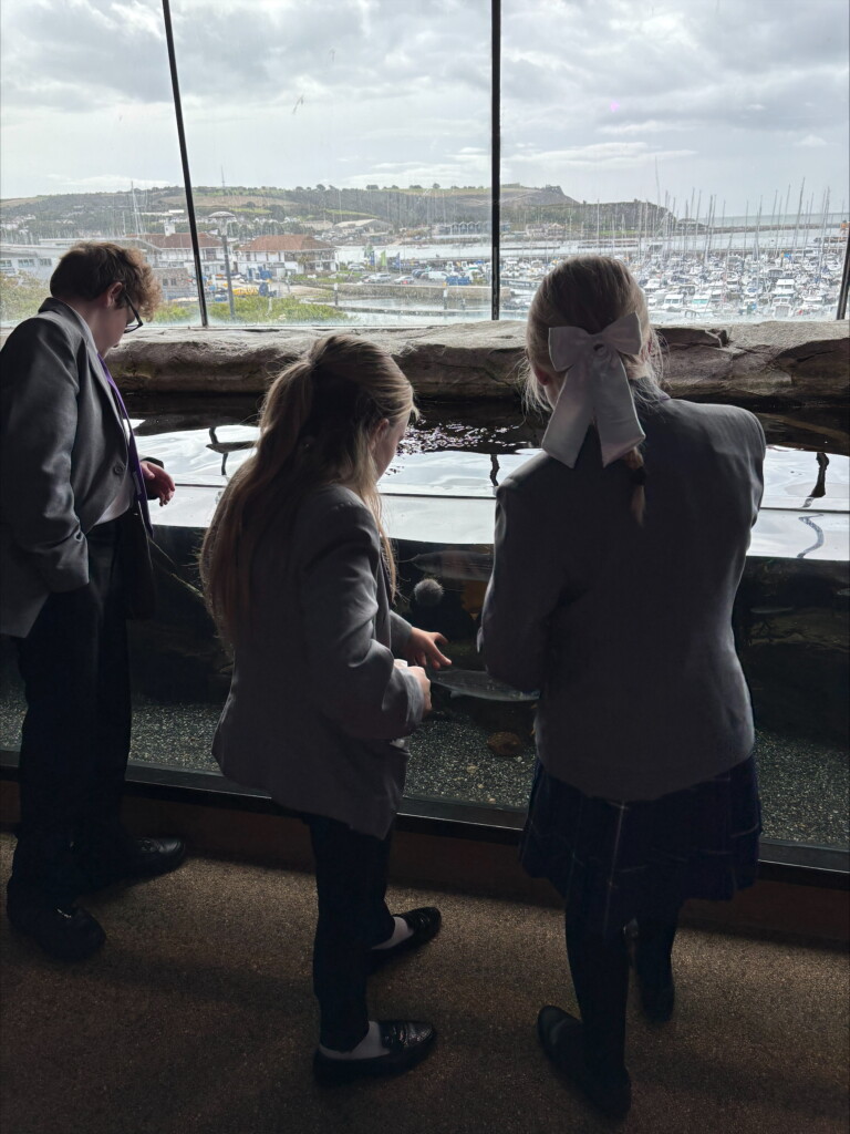 Three student stood facing away from the camera and towards a tank full of fish