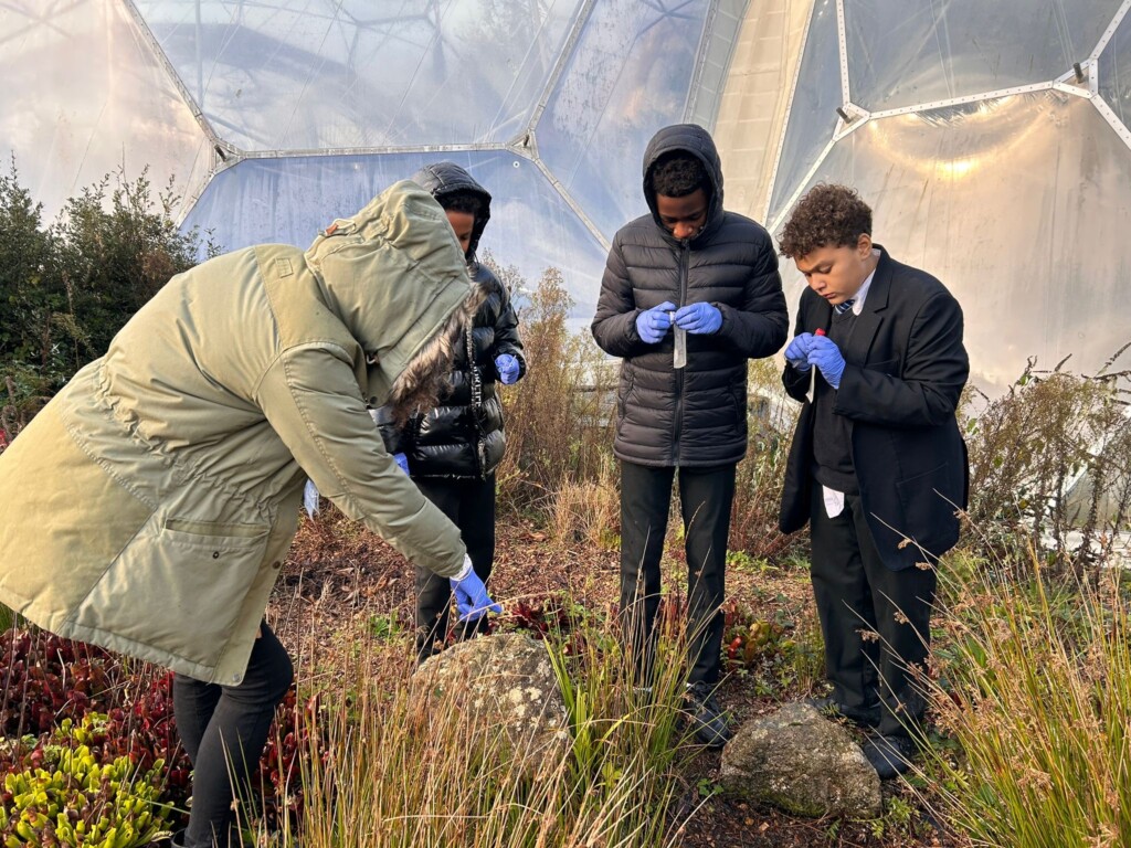 Three students examining plants at Eden project