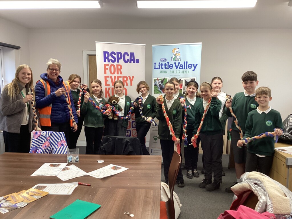 pupils-with-the-toys-they-made-for-dogs-at-little-valley-animal-shelter