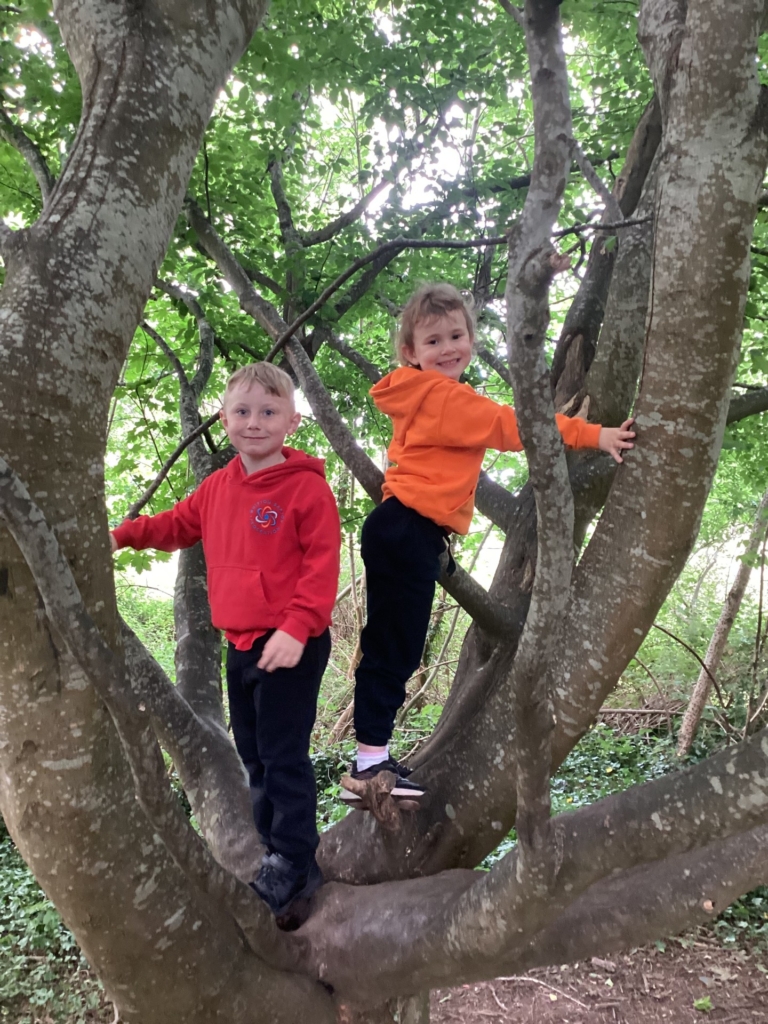 Two pupils stood in a tree, holding onto the branches